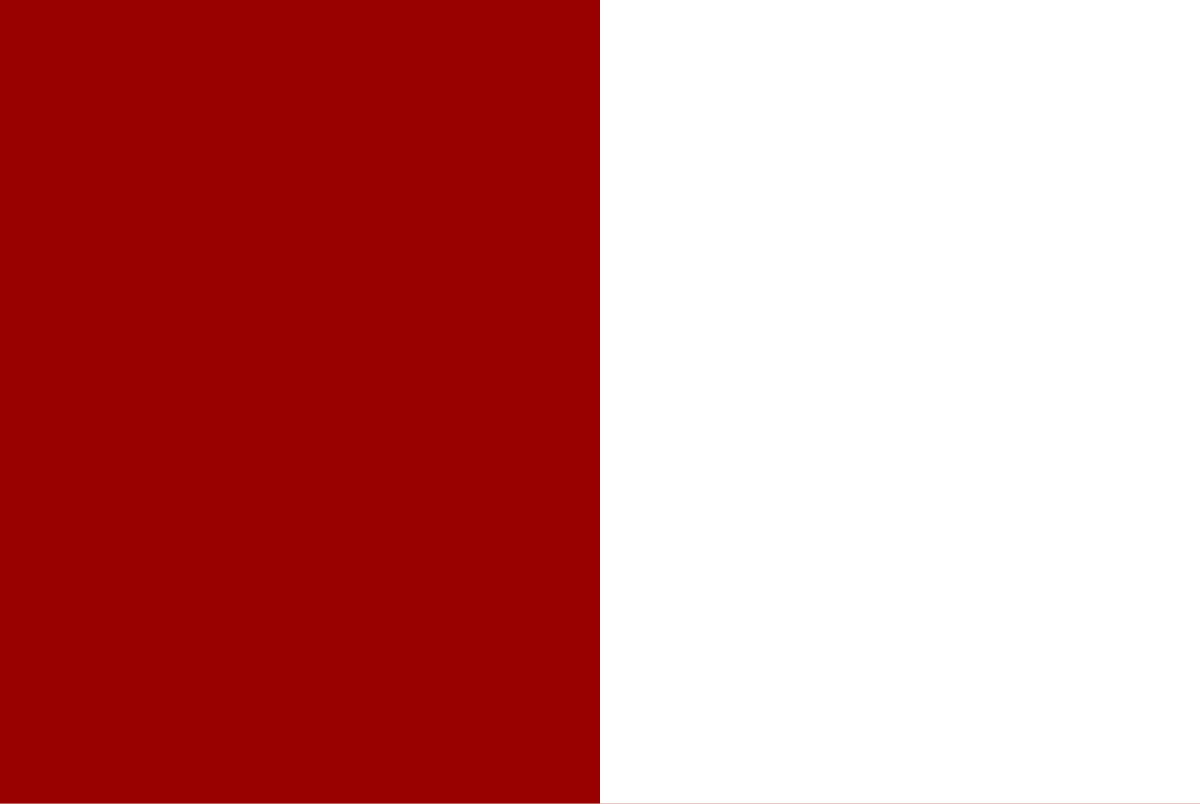 Galway county flag