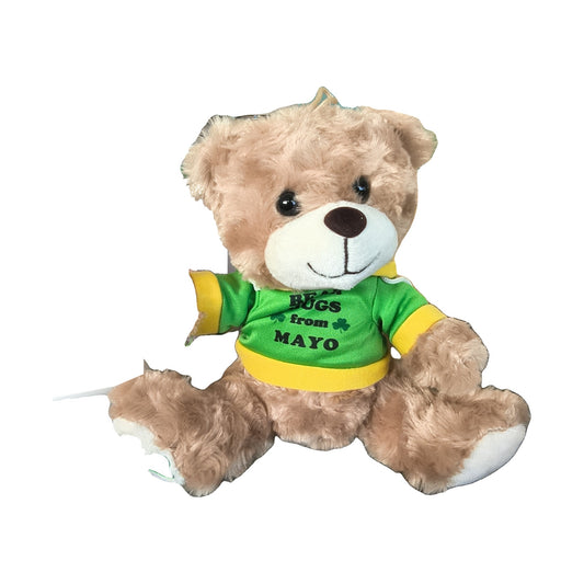 Bear Hugs from Mayo teddy bear