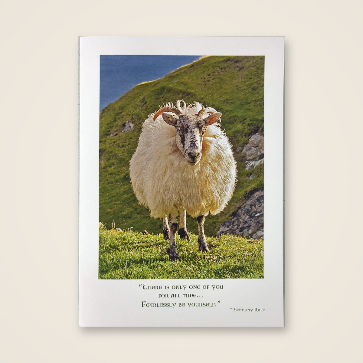 Card – Birthday (Sheep)