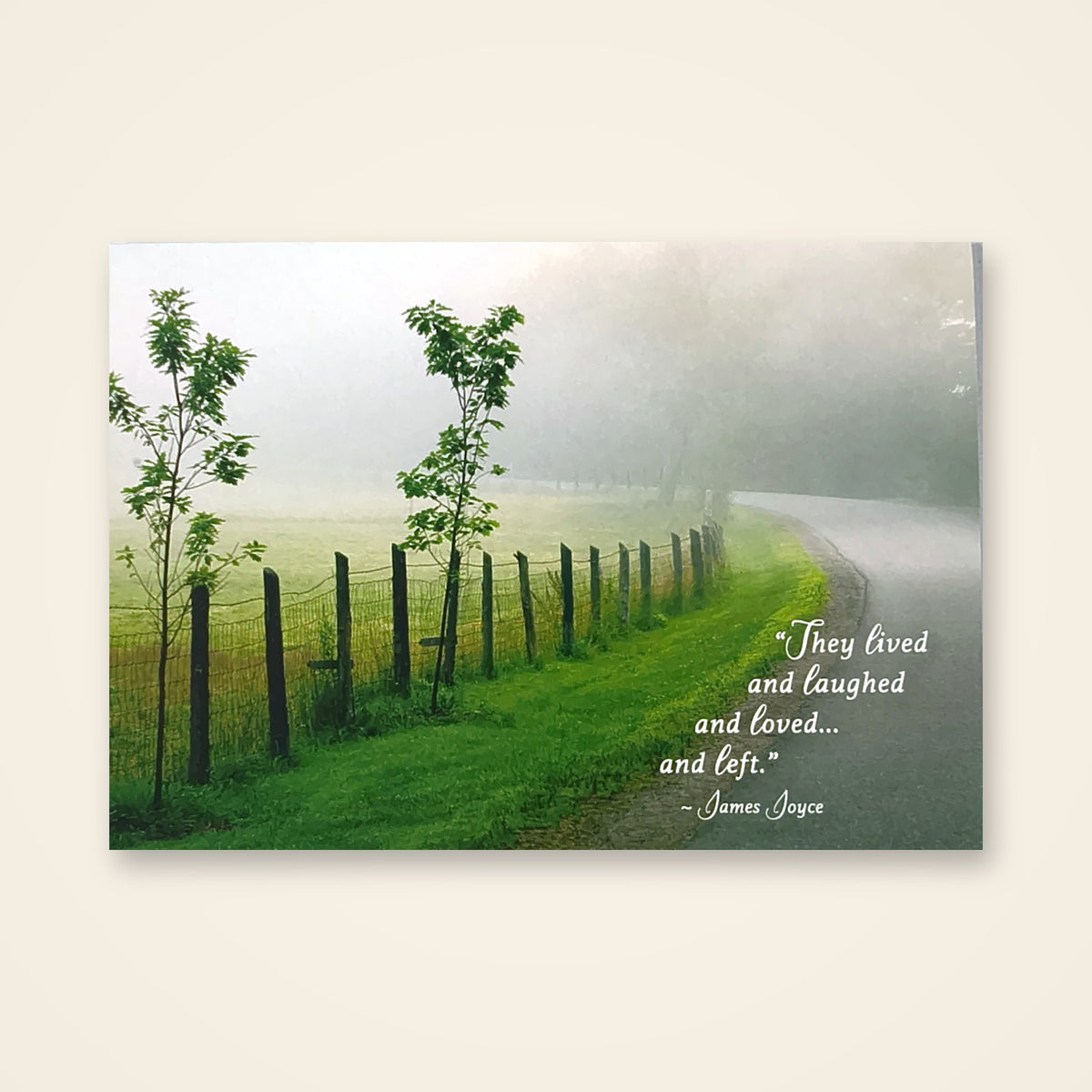Card – Sympathy (They Lived and Laughed)