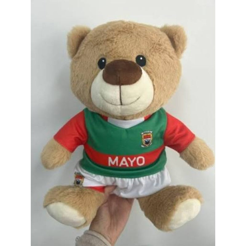 Mayo county teddy bear